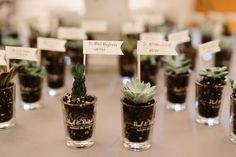Sustainable Wedding Favours